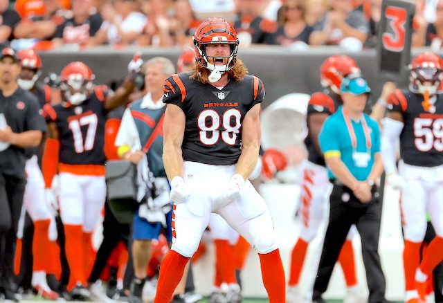 Hayden Hurst - Fantasy Football Rankings, Draft Sleepers, Waiver Wire Pickups