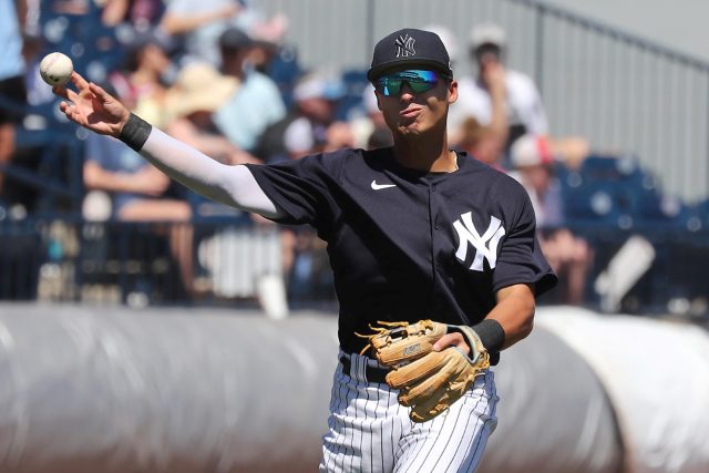 Anthony Volpe - Fantasy Baseball Rankings, Draft Sleepers, MLB Prospects