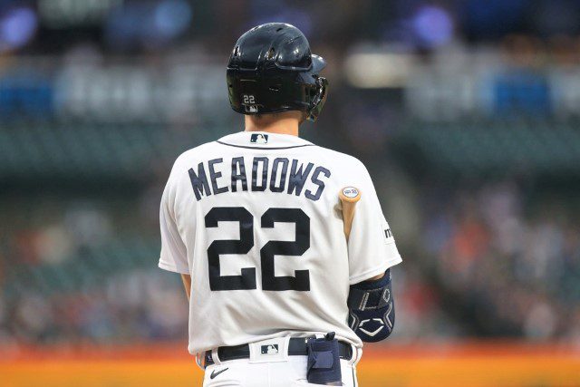 Parker Meadows - Fantasy Baseball Rankings, Draft Sleepers, MLB Injury News