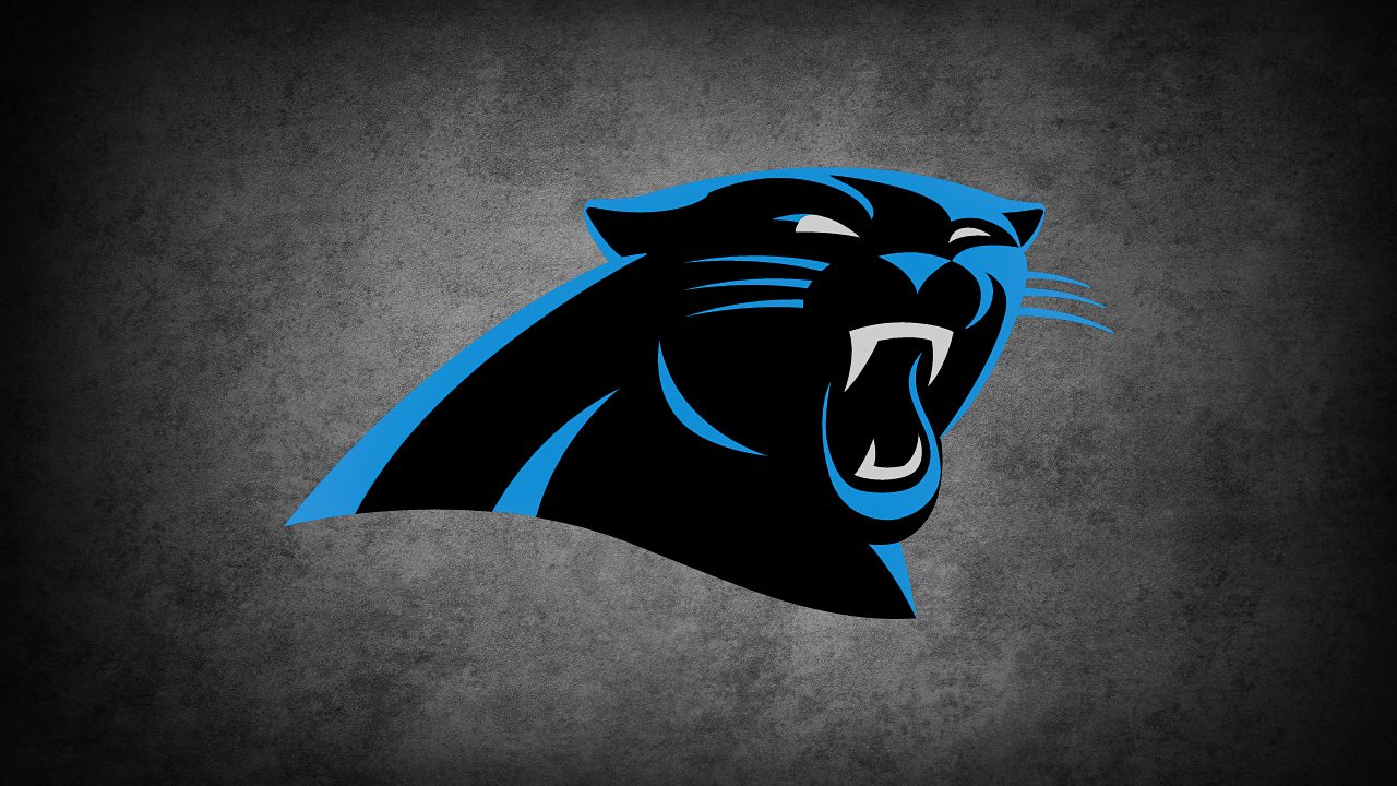 Carolina Panthers - NFL, TEAM LOGO, STOCK