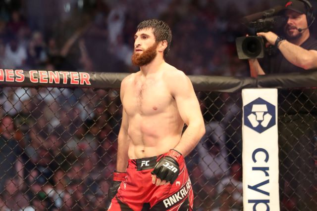 Magomed Ankalaev - MMA DFS Picks, UFC Betting