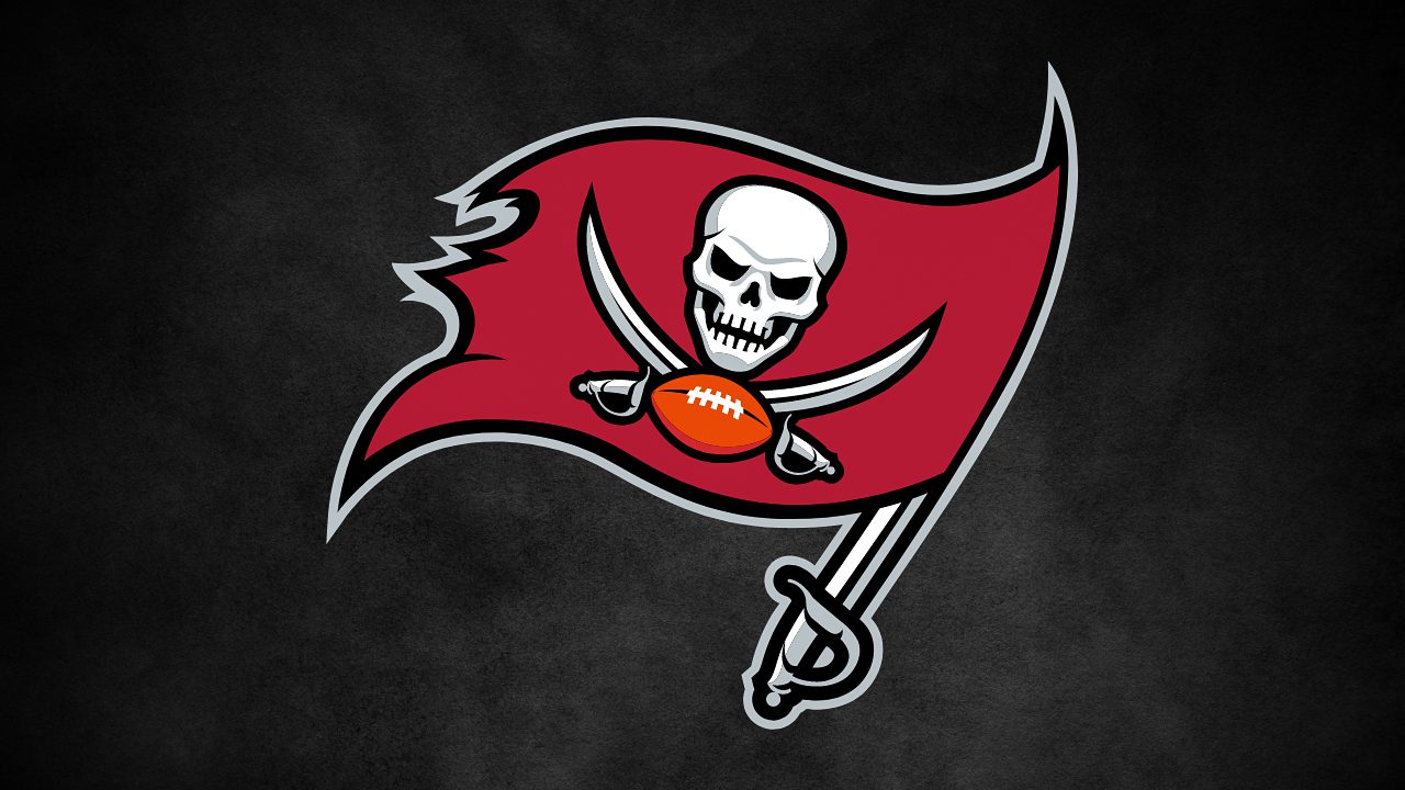 TAMPA BAY BUCCANEERS LOGO - NFL, STOCK