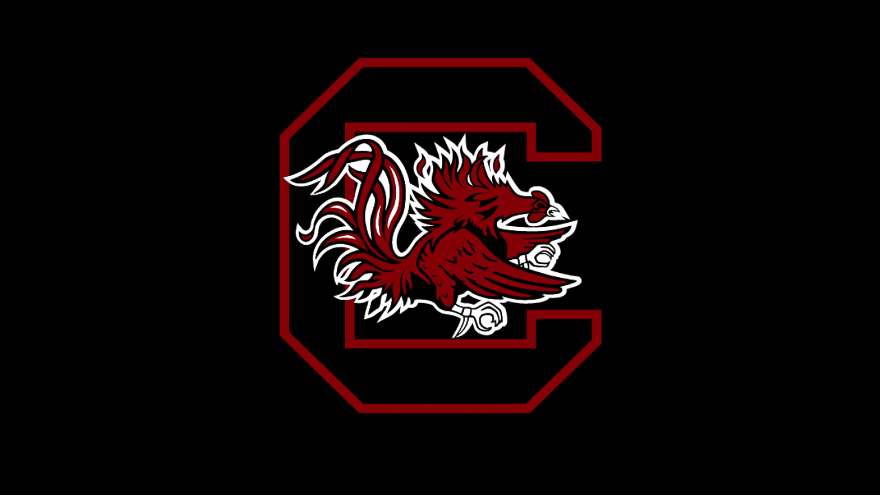 South Carolina Gamecocks - College Team Logo Stock